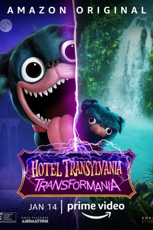 Hotel Transilvânia 07